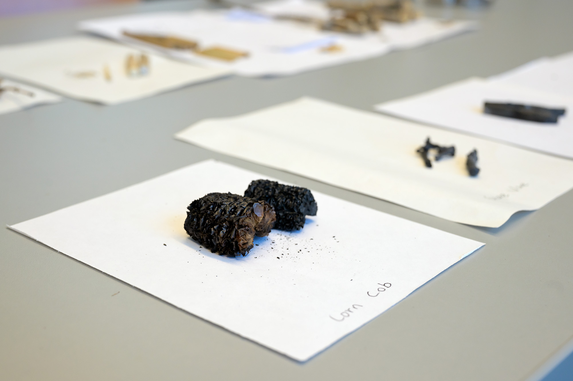 A piece of corn cob after it has been hydrothermally carbonized. (Photo by Trevor Hopkin)